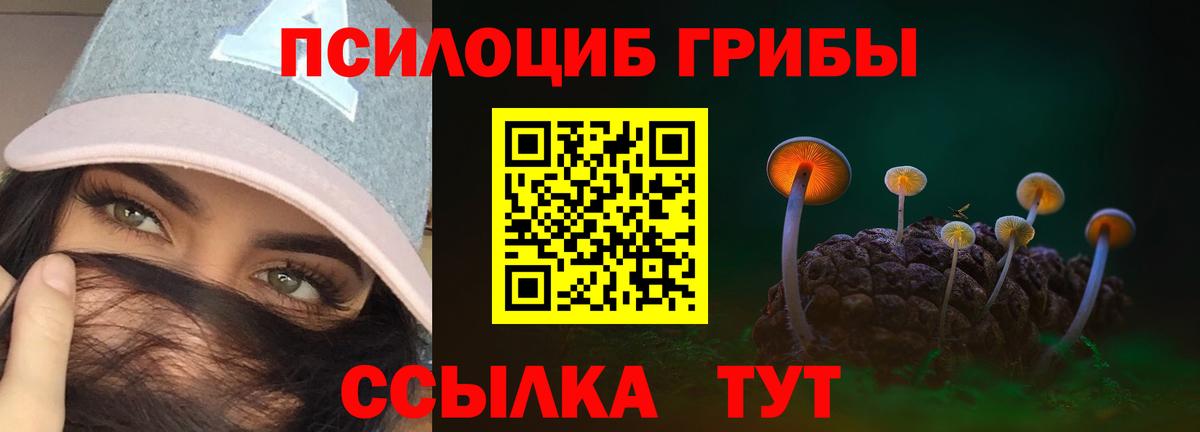 Псилоцибиновые грибы прущие грибы Гай